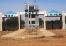 Kebbi University Student in 300 Level Murdered by Suspected Thieves Off Campus