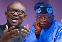 Presidency Fires Back at Peter Obi Over Tinubu Resignation Call, Says ‘You Need Schooling’