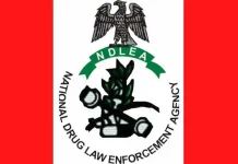 Federal Government Moves To End Fine Option For Drug Convicts
