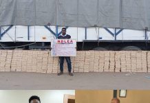 NDLEA intercepts Kano-bound tramadol shipments in Lagos, arrests 80-year-old grandpa
