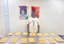 N10 billion Cocaine, Loud, opioids intercepted at Lagos ports as NDLEA arrests kingpins