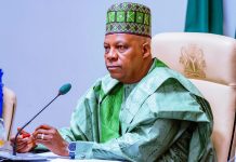 Shettima Reveals What Angers President Tinubu Most Is To Criticise Buhar