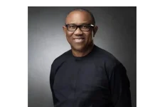 Peter Obi Has What It Takes to Fix Nigeria’s Security, Economy – NDC Chieftain