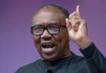 Benue, Plateau Killings: Peter Obi Urges Tinubu Government To Strengthen Security