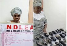 NDLEA Intercepts 13kg Cocaine Concealed In Plantain Peels, Arrests Nigerian-British Grandmother