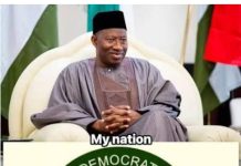 2027 Election: Turaki PDP Faction Nominates Jonathan, Sends Name to INEC