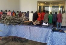 Yobe Police Arrest 448 Suspects, Achieve 152 Convictions in One Year
