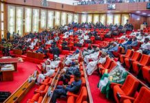 Senate Urges Facebook, TikTok to Establish Physical Presence in Nigeria