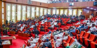Senate Urges Facebook, TikTok to Establish Physical Presence in Nigeria