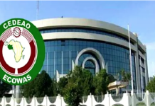 ECOWAS Deepens Efforts to Standardise Regional Statistical Data