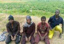 More Than 150 Terrorists Lay Down Arms Under Nigerian Military Pressure