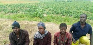 More Than 150 Terrorists Lay Down Arms Under Nigerian Military Pressure