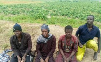 More Than 150 Terrorists Lay Down Arms Under Nigerian Military Pressure