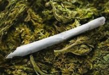 Police Arraign Five Over Alleged Indian Hemp Possession in Ekiti