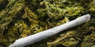 Police Arraign Five Over Alleged Indian Hemp Possession in Ekiti