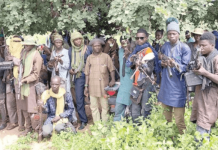 Sokoto Security Adviser Urges Political Leaders to Unite Against Banditry
