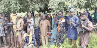 Sokoto Security Adviser Urges Political Leaders to Unite Against Banditry