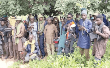 Sokoto Security Adviser Urges Political Leaders to Unite Against Banditry