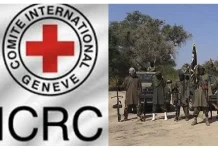 17,000 Nigerians Remain Missing As North-East Insurgency Persists – ICRC