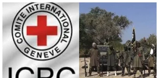 17,000 Nigerians Remain Missing As North-East Insurgency Persists – ICRC