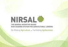 AFRACA-NIRSAL Trains African Finance Experts on Climate-Smart, AI-Driven Agriculture