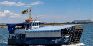 Tragedy in Zimbabwe as Boat Mishap Leaves 15 Dead