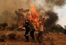Europe’s Record Heatwaves Trigger Huge Economic Losses