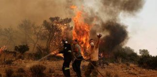 Europe’s Record Heatwaves Trigger Huge Economic Losses