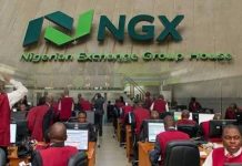 NGX Market Capitalisation Hits Record N160 Trillion on Strong Investor Demand