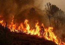 Indonesia Steps Up Aerial Efforts to Contain Forest Fires