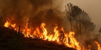 Indonesia Steps Up Aerial Efforts to Contain Forest Fires
