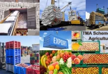 China’s Tariff-Free Policy Opens New Opportunities for African Exporters