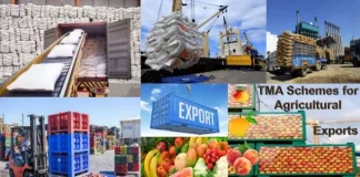 China’s Tariff-Free Policy Opens New Opportunities for African Exporters