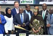 Nigeria’s Dangote Refinery Launches Continent’s Largest IPO