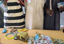 Son Allegedly Plans Robbery Of Mother In Adamawa Midnight Attack
