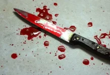 Abia Community in Shock as Man Allegedly Hacks Mother to Death