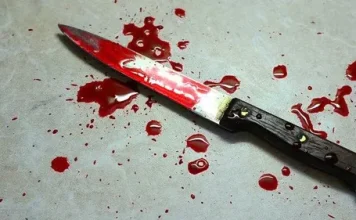 Abia Community in Shock as Man Allegedly Hacks Mother to Death