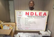 Herbal tea businessman behind cocaine shipments to Saudi Arabia arrested in Lagos