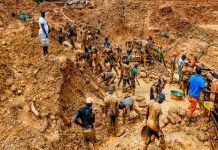 Niger Miners’ Deaths: Forensic Team Begins Investigation