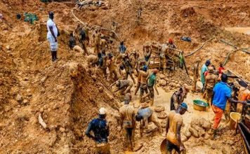 Niger Miners’ Deaths: Forensic Team Begins Investigation