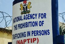 NAPTIP, NGO Strengthen Collaboration Against Human Trafficking