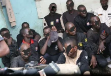 Bauchi Police Nab 47 Suspects Allegedly Posing As Security Operatives At Polling Units