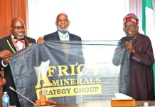 Africa Must Process Its Minerals Locally Before Export, Tinubu Says