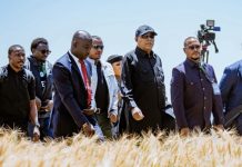 FG Turns to Ethiopia’s Farming Success to Boost Nigeria’s Food Production