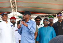 FCT Minister Seeks Explanation From Amaechi Over Power Plant Sale