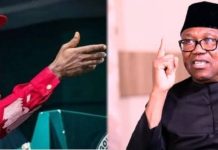 2027 Politics: NDC Raises Concerns Over Peter Obi’s Influence in Anambra